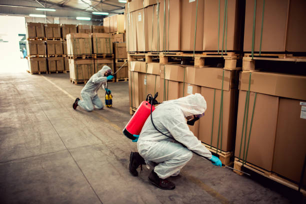 Best Pest Control Near Me in Maumee, OH