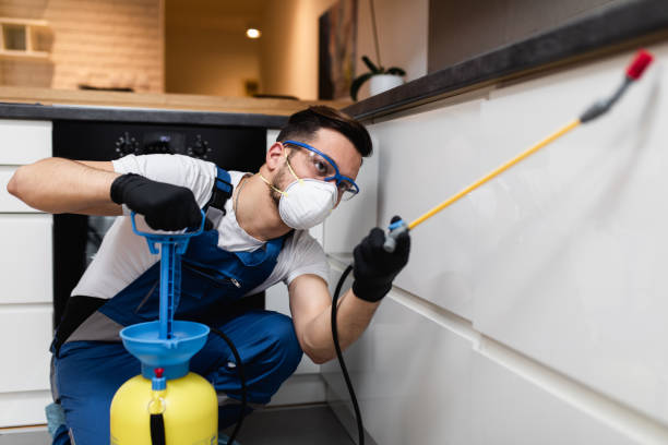 Best Affordable Pest Control Services  in Maumee, OH