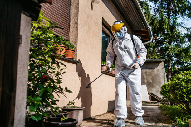 Best Pest Control for Businesses  in Maumee, OH