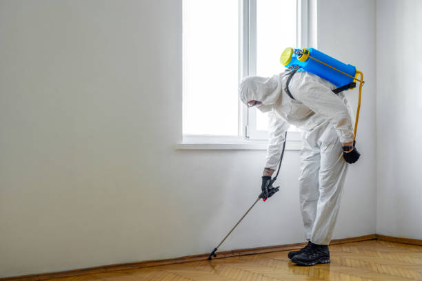 Best Emergency Pest Control  in Maumee, OH