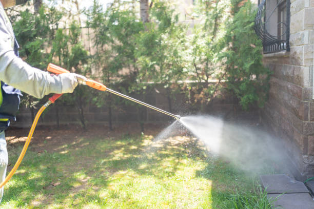 Professional Pest Control in Maumee, OH