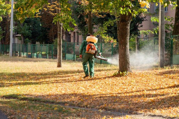 Best Mosquito Control Services  in Maumee, OH