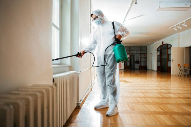 Best Pest Prevention Services  in Maumee, OH