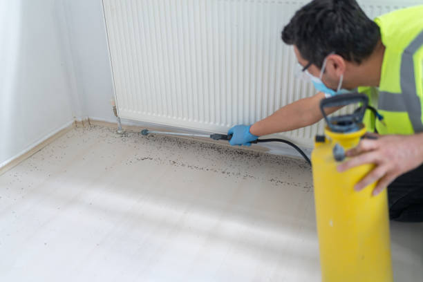 Best Best Pest Control Companies  in Maumee, OH